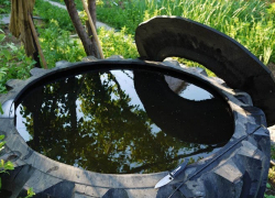 Селянин утонул в метровом бассейне из покрышек, - "Блокнот Волгограда"