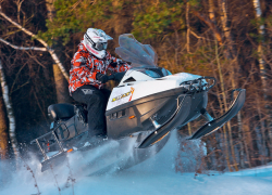 Пастух угнал у камышанина снегоход и унесся в соседнюю область