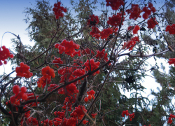 "Плюс" и мелкий дождь: погода в Камышине 12 декабря