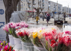 Проливным дождем со снегом началось утро 8 марта в Камышине