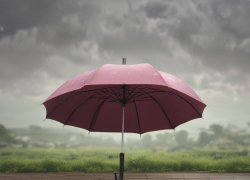 Вновь избранные депутаты Волгоградской Облдумы заказали себе сотню элитных зонтов "а-ля франсе" , - "Блокнот Волгограда"