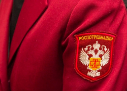 Руководитель отдела Роспотребнадзора в Камышине Александр Кулаков: закрытых на карантин по коронавирусу классов сейчас в городских школах нет