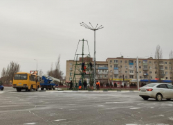 В Камышине начали монтировать самую высокую городскую елку