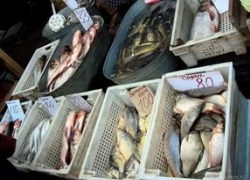 В Камышине выявлен факт сбыта продукции, не отвечающей требованиям безопасности