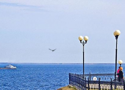 Камышинский паром между берегами Волги теперь курсирует чаще