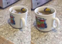 Жительница Волжского сняла на видео, как в ее мистической квартире кружка с чаем ходит по столу