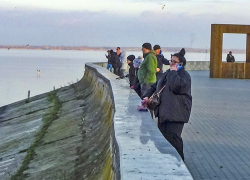 Сбой в работе MAX, отсутствие мобильного интернета фиксируются в Волгоградской области, в Камышине тоже