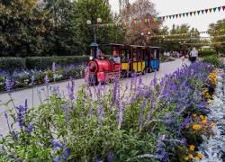 Ясный летний день выпадает камышанам: погода на 23 сентября