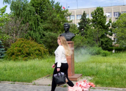 Новый розарий создают в Камышине озеленители, горожане просят их не зацикливаться с цветами только у здания чиновников