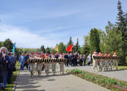 В Камышине начался торжественный митинг, посвященный 9 мая, и возложение цветов к Памятному знаку в парке Победы