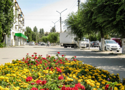 Столбики термометров в Камышине остановятся на комфортных +26-ти сегодня, 9 августа