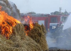 В поселке Камышинского района на телеге загорелось сено