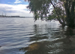 Камышин вошел в туристическую стратегию "Север Юга", презентуемую на ВДНХ в Москве