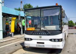 Как Камышин вдруг назвали городом высокого интеллекта