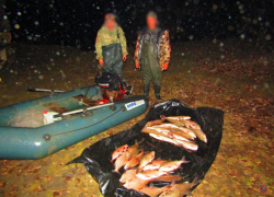 Лещи и голавли "отправили" браконьеров под уголовную статью в Волгоградской области