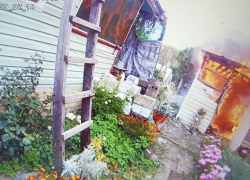 В Камышинском районе полицейские увидели дым и бросились предотвращать пожар