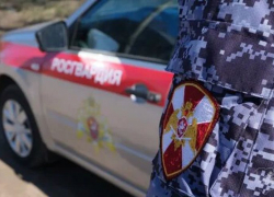 В Камышине росгвардейцы задержали насильника прямо на улице