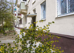 В Камышине в диспетчерской теплосетей и на 05 горожанам отвечают, что не знают, когда отключат батареи