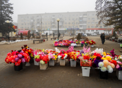 Нельзя ли погребальными цветами торговать не в центре Камышина, очень же печально смотрится? - камышанка