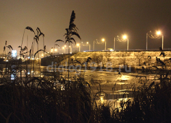 В Камышине газета "Диалог" проиллюстрировала "прямую связь" чиновника по ЖКХ снимком с "джунглями" сорного камыша рядом с администрацией