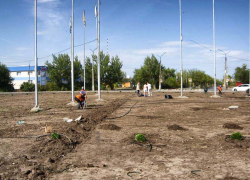 В Камышине службы благоустройства нацелились на "зимнюю" клумбу?