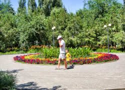 В Волгоградской области лжеброкеры подлавливают своих жертв на страсти к легким деньгам