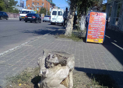 Обращаюсь к "Благоустройству": уберите пни хотя бы на центральных улицах города! - камышанка