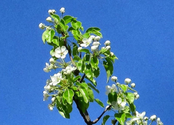 Сколько дней камышане будут отдыхать в майские праздники