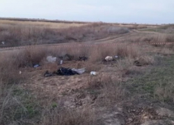 Таксиста-частника зверски убили, а его машину сожгли