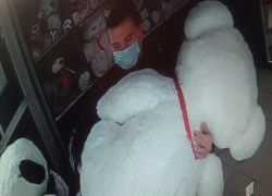 Дерзкий похититель плюшевого медведя попал под прицел камер видеонаблюдения