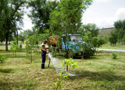 Аудиторы КСП выяснили, что в Камышине в МБУ "Благоустройства" не умеют оформлять путевые листы 