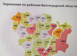 В Камышине за сутки заразилось коронавирусом почти полсотни человек