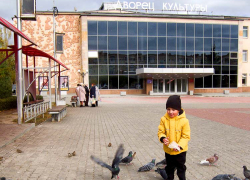 Ноябрь в Камышине начинается с солнечных, "весенних" дней