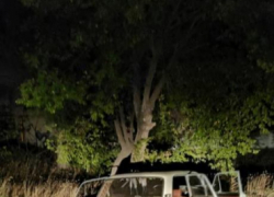 В Камышине молодой водитель без прав на рулем "шестерки" врезался в дерево и попал в больницу вместе с 17-летней пассажиркой