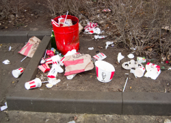 Тема мусорной вакханалии у открывшейся на улице Ленина точки KFC дошла до планерки чиновников администрации Камышина