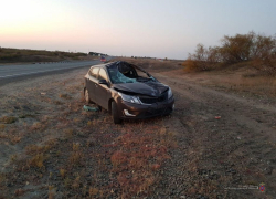 На московской трассе водитель иномарки получил серьезные травмы, налетев на рассвете на лошадь