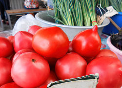 В Камышине резко подешевели помидоры и резко подорожали абрикосы