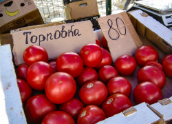 Цены на помидоры в Камышине никак "не хотят" падать ниже 80 рублей
