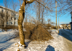 В Камышине расчистили захламленную площадку на втором участке