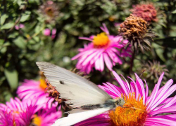 Жарко и ветрено: погода в Камышине 14 сентября