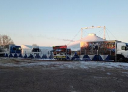 Камышане распространили в соцсетях призыв бойкотировать заезжий цирк, который "мучает животных"