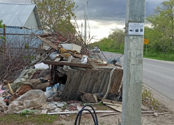 "Хотим немного "привести в чувство" депутата-дачницу, и не только ее", - камышанка