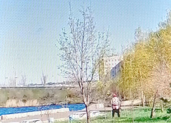 Камышане "вернули" властям города эмоции по поводу видео с "мадам", справляющей нужду в парке Победы