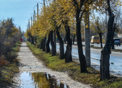 Власти, не забудьте осушить вечную лужу на Текстильной! - камышанин