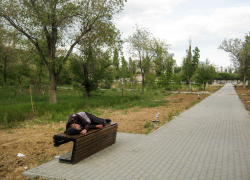 Дорожки-лавочки, а кто у нас на лавочках, "культурненький" такой? - камышанка