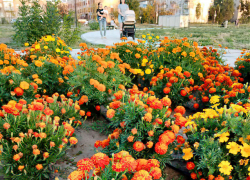 Аномальная жара вернется в Волгоградскую область