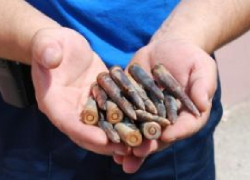 Камышанина на год ограничили в свободе за хранение боеприпасов