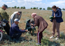 Специалисты отправились "проведать" сайгаков в Заволжье