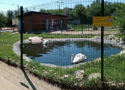 Стабильно +30: погода в Камышине на выходные и начало августа