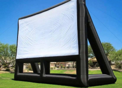 Администрация Камышина решила купить экран для уличного кино - горожане поинтересовались, придется ли нести с собой стулья 